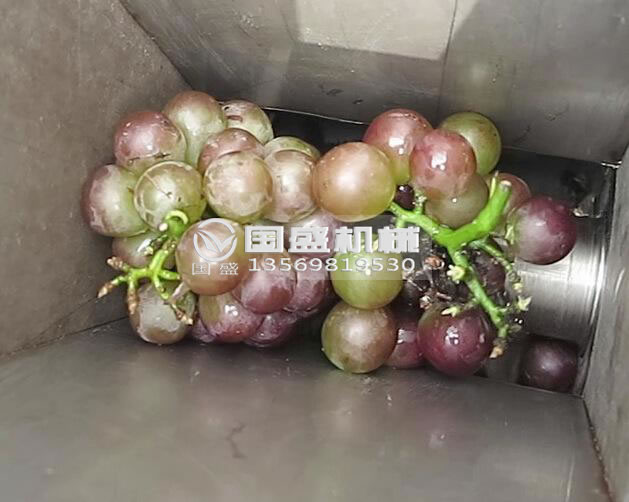 葡萄酿酒设备 葡萄酿酒设备