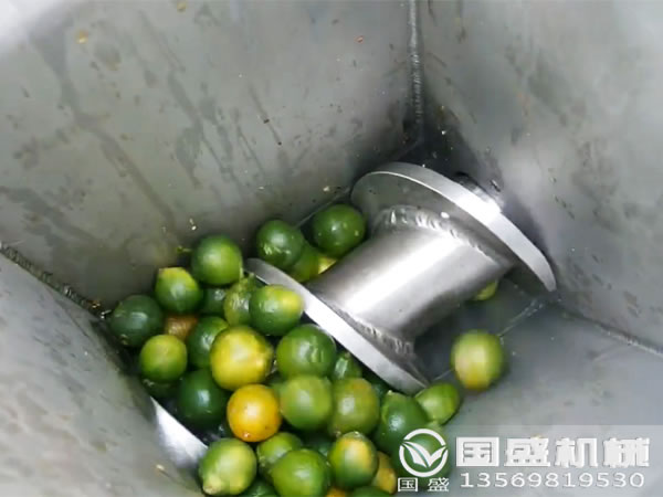 食品渣压榨机 食品渣压榨机