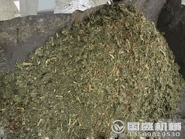 餐厨垃圾分拣脱水机 餐厨垃圾分拣脱水机