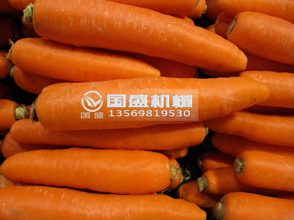 榴莲视频官网胡萝卜脱水挤压机 榴莲视频官网胡萝卜脱水挤压机
