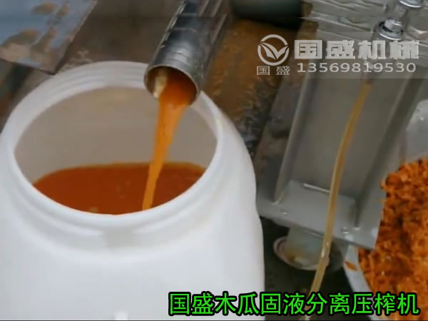 木瓜挤压脱水机 木瓜挤压脱水机