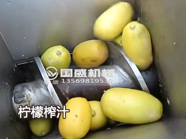 榴莲视频官网新款大型柠檬榨汁机 榴莲视频官网新款大型柠檬榨汁机