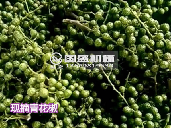 螺旋压榨机弹簧 螺旋压榨机弹簧