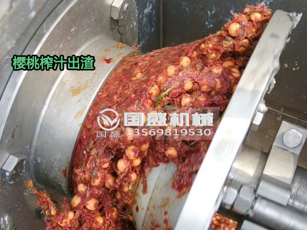 榴莲视频官网樱桃螺旋压榨脱水机 榴莲视频官网樱桃螺旋压榨脱水机